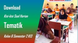 Download Kisi-kisi Soal Harian Kelas 6 Semester 2 K13